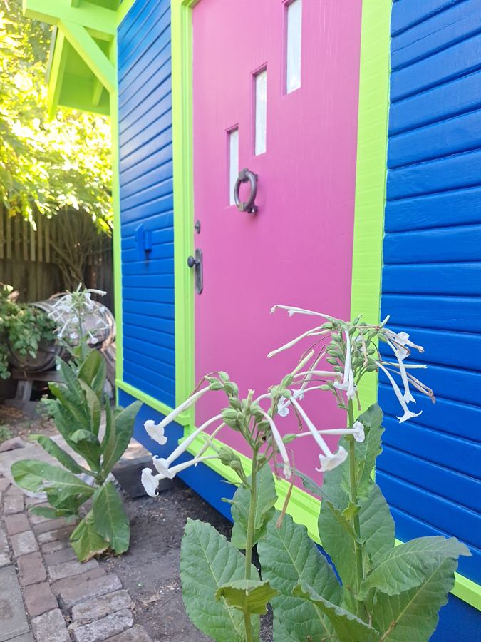 Magenta cottage door with lime trim against blue siding, flowers in the foreground