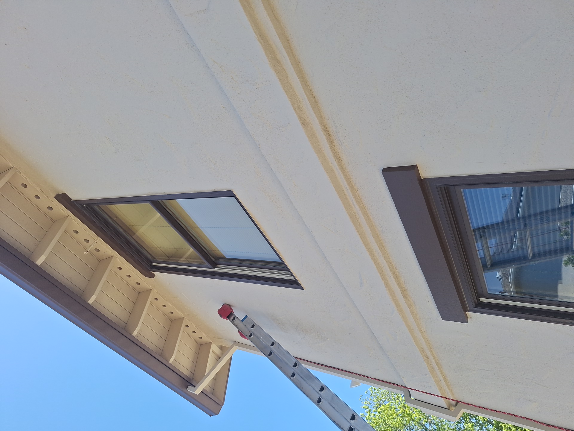 Art Gallery Image 16